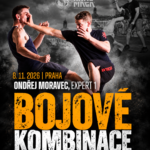 Bojové kombinace